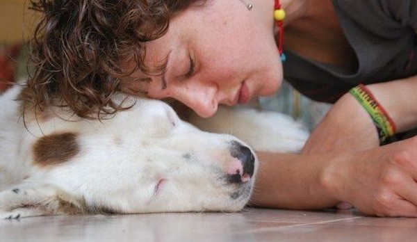 AZZURRO, DALLE CELLE BUIE DI UN CANILE ALLA BELLA VITA