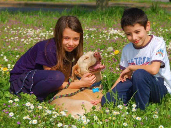 BIONDINO OGGI E’ UN CANE FELICE