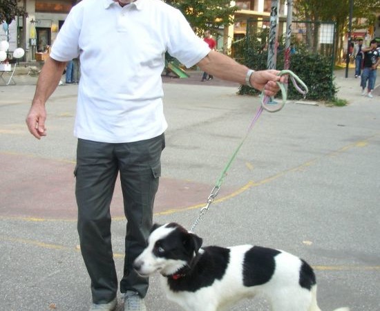 MACCHIA DOLCISSIMO CAGNOLINO FINALMENTE ADOTTATO