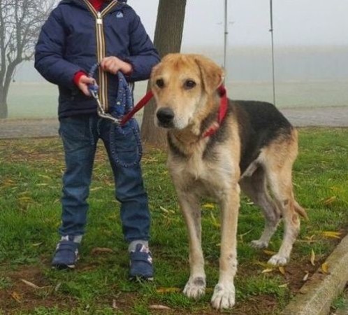 Totò a passeggio