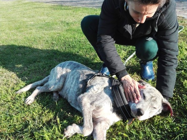 IRMA HA FINALMENTE TROVATO LA SUA MAMMA