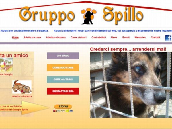 UN COMPLEANNO SOLIDALE PER I CANI DI GRUPPO SPILLO